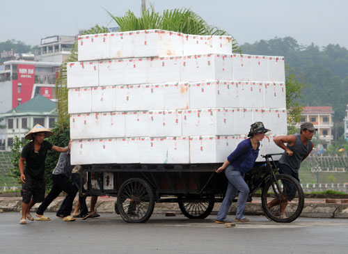 Mỗi ngày có gần 300 tấn vải thiều chín sớm xuất khẩu sang thị trường Trung Quốc qua cửa khẩu quốc tế Lào Cai 3