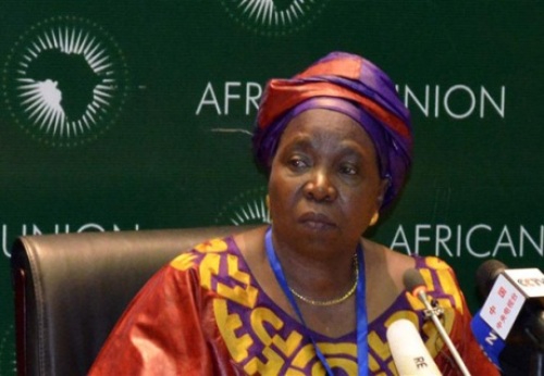 Bộ trưởng Nội vụ Nam Phi, bà Nkosazana Dlamini-Zuma - Ảnh: Reuters