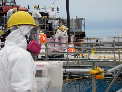 Nhật điều tra bê bối về báo cáo nhiễm xạ của công nhân tại Fukushima