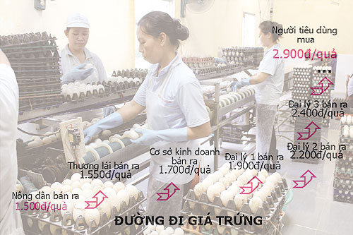 Nông sản oằn lưng cõng phí