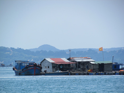 Nhiều lồng cá do người Trung Quốc trực tiếp nuôi trên vịnh Cam Ranh - Ảnh: Thiện Nhân
