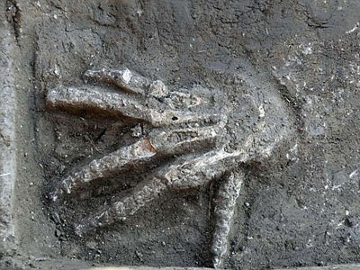 Bàn tay gần 4000 năm tuổi