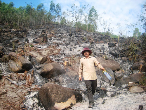 Cháy rụi 130 ha rừng trồng 3