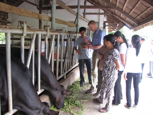 Chuyên gia Hà Lan hướng dẫn cho nông dân Việt Nam