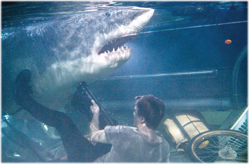Cảnh trong phim Bẫy cá mập 