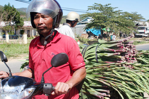 Nhộn nhịp thị trường hoa tết