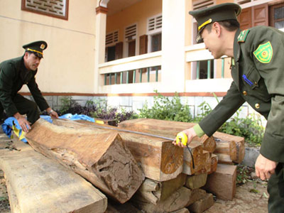 Thắt chặt bảo vệ rừng A Đăng