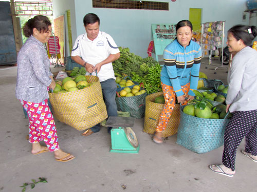 Hậu Giang: Những mô hình thoát nghèo hiệu quả 2