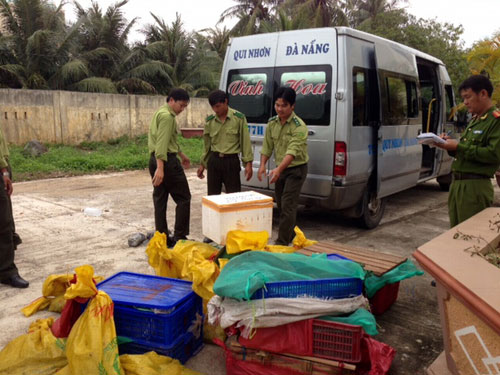 Truy bắt xe khách chở hơn 100 kg động vật hoang dã