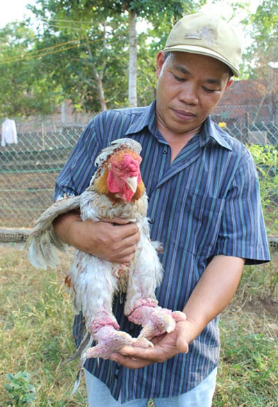 Hàng “độc” bán chạy