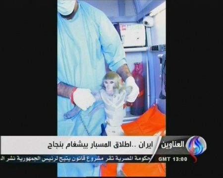 Iran đưa khỉ vào không gian