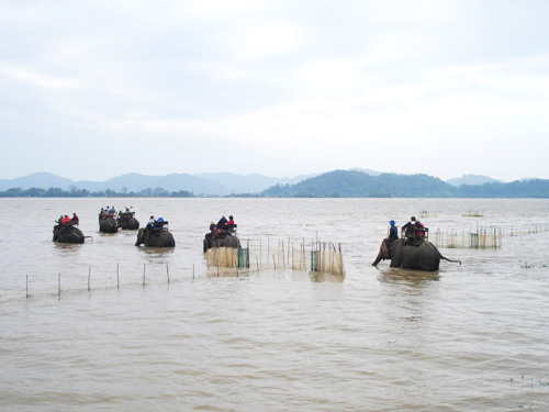 Xây dựng điểm du lịch nghỉ dưỡng sinh thái hồ Lắk