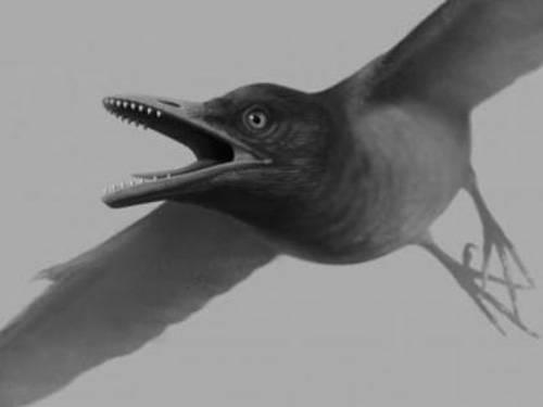 Chim tiền sử có răng