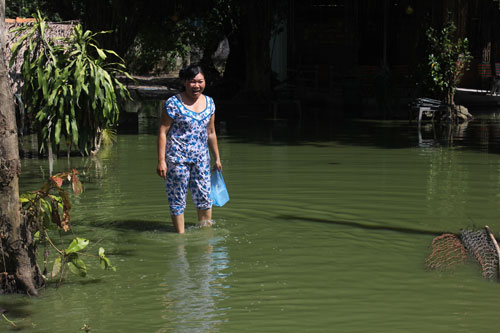 Nước nhấn chìm nhà bà Lê Thị Mai Hoa tại ấp Tân Hòa