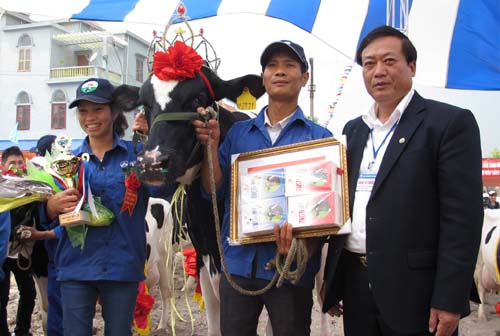 Hoa hậu bò sữa Mộc Châu năm 2013 ẵm giải thưởng 56 triệu đồng - 1