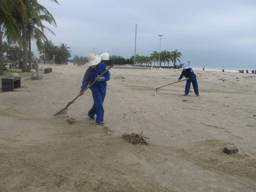 Từ 4g sáng, lực lượng môi trường sông biển đã có mặt để dọn dẹp bãi biển bị bão phá tơi bời