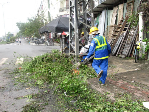 Công nhân môi trường đô thị cũng dọn dẹp cây xanh ngã đổ
