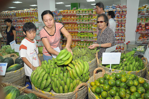 Trái cây Việt Nam đang có nhiều cơ hội để mở rộng xuất khẩu sang thị trường Bắc u - d