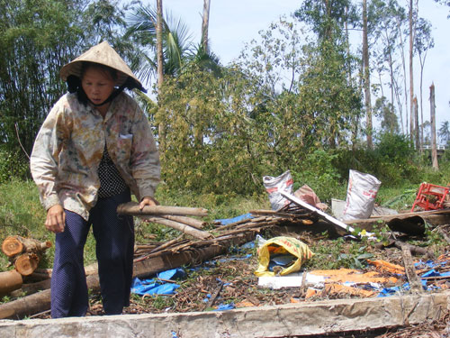 Giọt nước mắt vùng bão