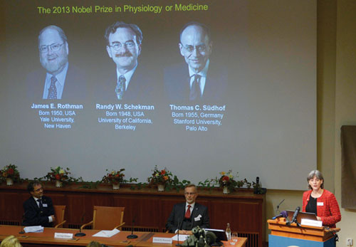 Nobel Y học 2013: Khám phá “trật tự giao thông” của tế bào