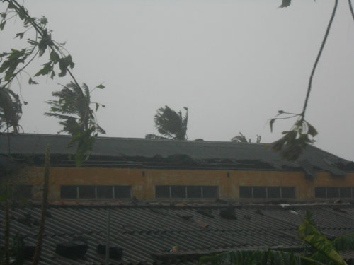 Lý Sơn: Tan hoang xơ xác sau bão 6