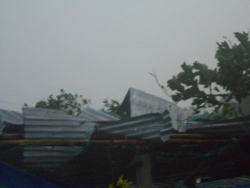 Lý Sơn: Tan hoang xơ xác sau bão 8