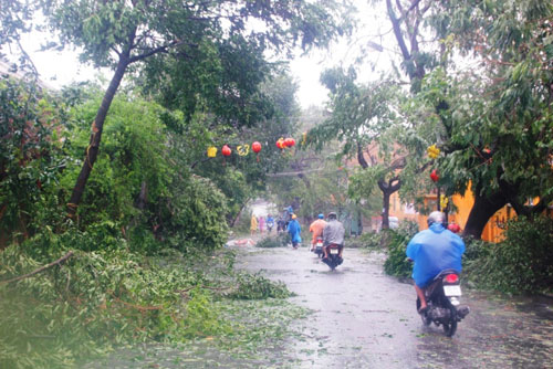 Bão số 11: Hoang tàn trong tâm bão Quảng Nam 11