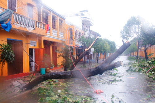 Bão số 11: Hoang tàn trong tâm bão Quảng Nam 12