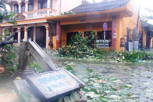 Bão số 11: Hoang tàn trong tâm bão Quảng Nam 13