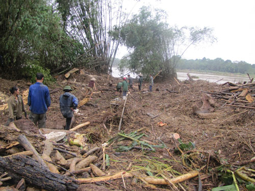 Hà Tĩnh: Lũ gỗ chất đống hai bên sông 1
