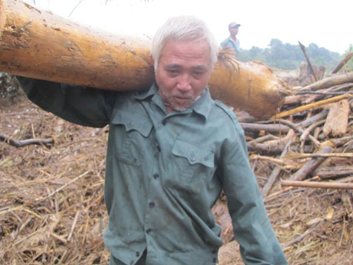 Hà Tĩnh: Lũ gỗ chất đống hai bên sông 5