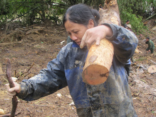 Hà Tĩnh: Lũ gỗ chất đống hai bên sông 6