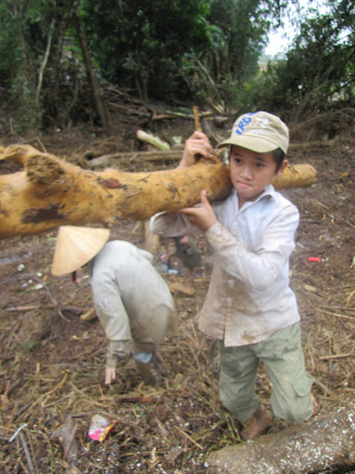 Hà Tĩnh: Lũ gỗ chất đống hai bên sông 7
