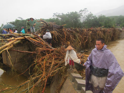 Hà Tĩnh: Lũ gỗ chất đống hai bên sông 9
