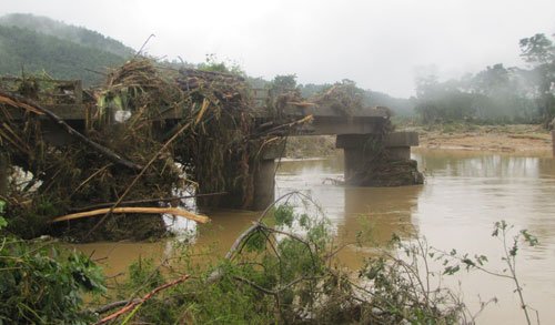 Hà Tĩnh: Lũ gỗ chất đống hai bên sông 10