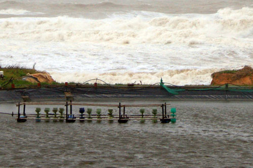 Quảng Bình: Nhiều đê kè bị sóng biển đánh sập 2