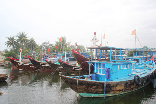 Tàu thuyền ngư dân Tam Tiến (H.Núi Thành) đã vào bờ neo đậu an toàn