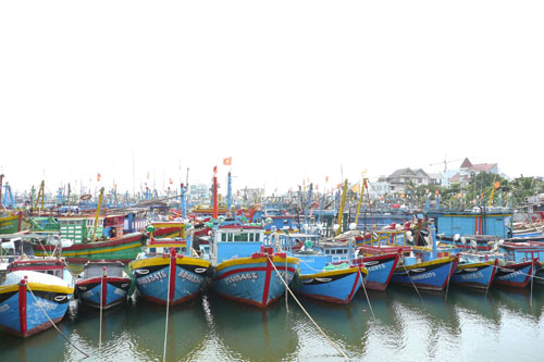 Tàu thuyền của ngư dân Bình Định neo đậu tại Cảng cá Quy Nhơn