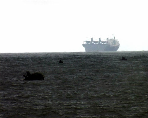 Tàu hàng Taio Frontier không thể cập cảng Chân Mây do sợ vướng lưới bắt tôm hùm