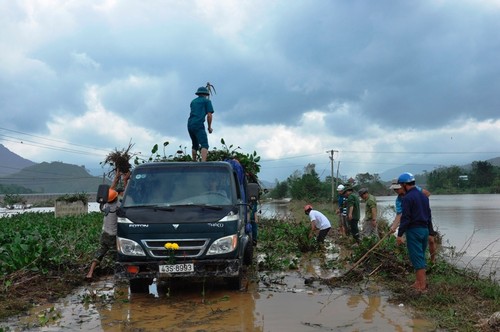 Điều động lực lượng xử lý bèo sau lũ tại thôn (xã Quế Trung, H.Nông Sơn)