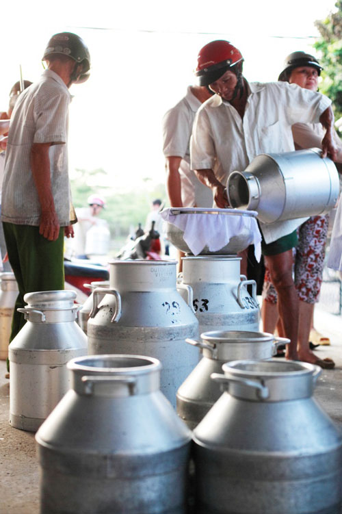 Năng suất, chất lượng sữa và hiệu quả ngày càng nâng cao là kết quả của quá trình hỗ trợ nông dân mà FrieslandCampina Việt Nam đã và đang thực hiện trong hơn 17 năm qua với Chương trình Phát triển ngành sữa