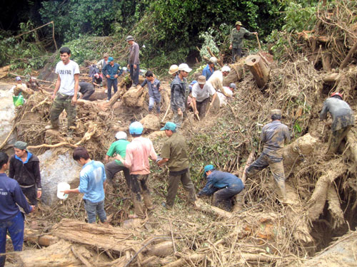 Cứu hộ trong rừng sâu