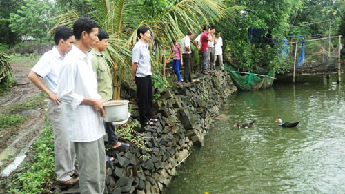 Nơi nông dân cùng làm giàu