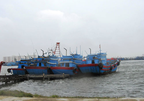 Đà Nẵng: Sẽ sơ tán hơn 73.000 người dân nếu bão Hải Yến đổ bộ