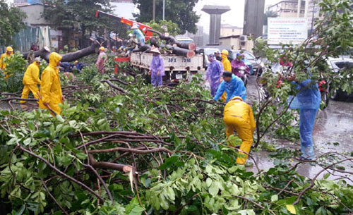 Siêu bão Hải Yến làm nhiều cây cổ thủ của Hà Nội bật gốc 2