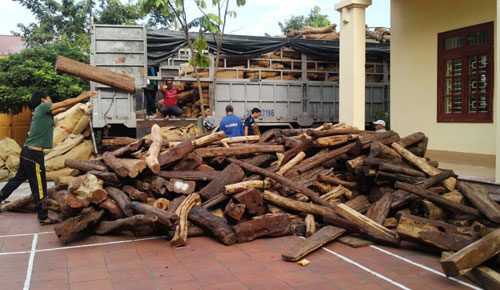 Bắt quả tang vụ vận chuyển gần 60 tấn gỗ trắc