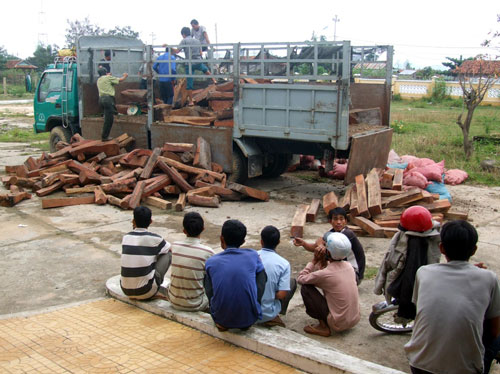 Vận chuyển gỗ trái phép