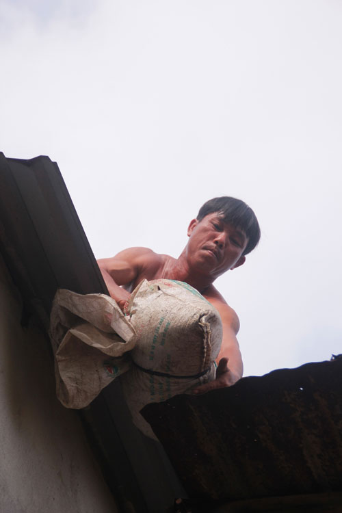 Bão số 14: Người dân Quảng Nam đổ xô mua vật liệu gia cố nhà 10