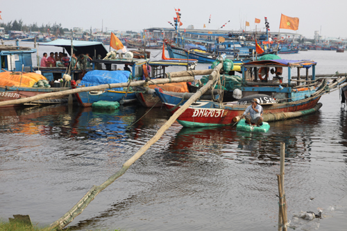 Ngư dân neo đậu tàu thuyền trong vịnh Mân Quang - Ảnh: Nguyễn Tú