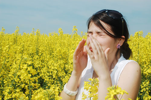 Phấn hoa là tác nhân gây dị ứng và hen suyễn - Ảnh: Shutterstock